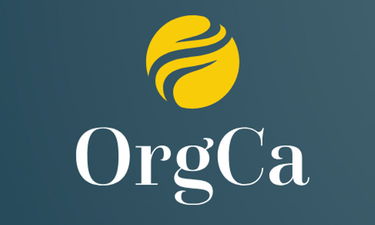 OrgCa.com - Creative brandable domain for sale